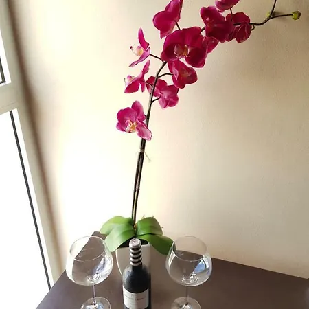 Pto Rosario 4pax Daire